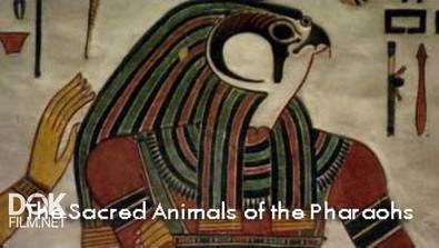 Священные Животные Фараонов / The Sacred Animals Of The Pharaohs (2006)