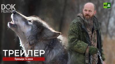 Иван И Серый Волк (2019)