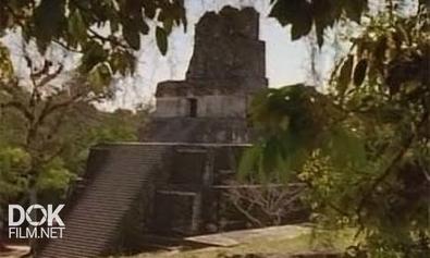 Майя: Великие Тайны / Dawn Of The Maya (2003)