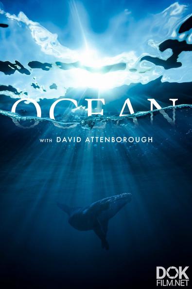 Океан с Дэвидом Аттенборо/ Ocean with David Attenborough (2025)
