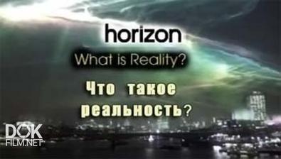 Что Такое Реальность? / What Is Reality? (2011)