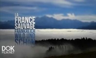 Дикая Франция / Wild France (2012)