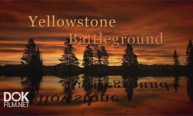 Йеллоустон – Поле Битвы. Долина Гризли / Yellowstone Battleground. Grizzly Cauldron (2009)
