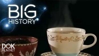 Большая История: Кофеин / Big History: Brain Boost (2013)