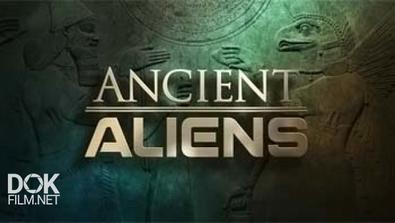 Древние Пришельцы. Сокровища Богов / Ancient Aliens. Treasures Of The Gods (2014)