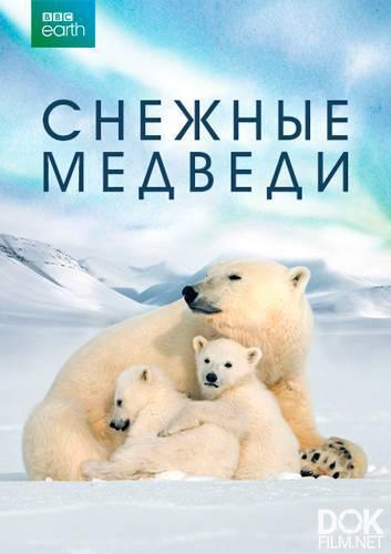 Снежные медведи/ Snow Bears (2017)