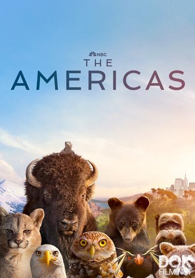 Америка/ The Americas (2025)