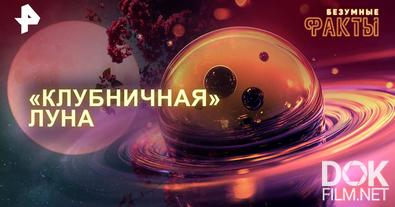 Безумные факты. «Клубничная» Луна (2025)