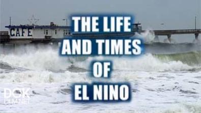 Эффект Эль-Ниньо / The Life And Times Of El Nino (2005)