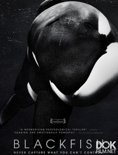 Черный плавник/ Blackfish (2013)