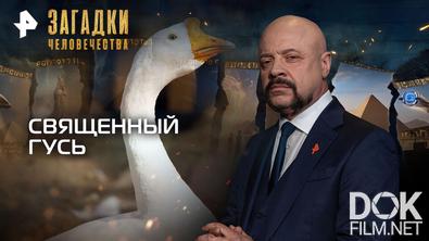 Загадки человечества с Олегом Шишкиным. Священный гусь (26.01.2026)