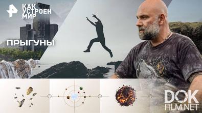 Как устроен мир с Тимофеем Баженовым. Прыгуны (31.10.2025)