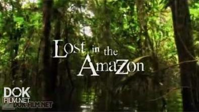 Тайны Мертвых. Затерянный В Амазонке / Secrets Of The Dead. Lost In The Amazon (2011)