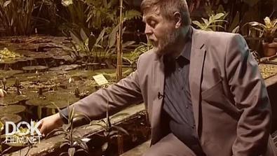 Черные Дыры. Белые Пятна (2017)