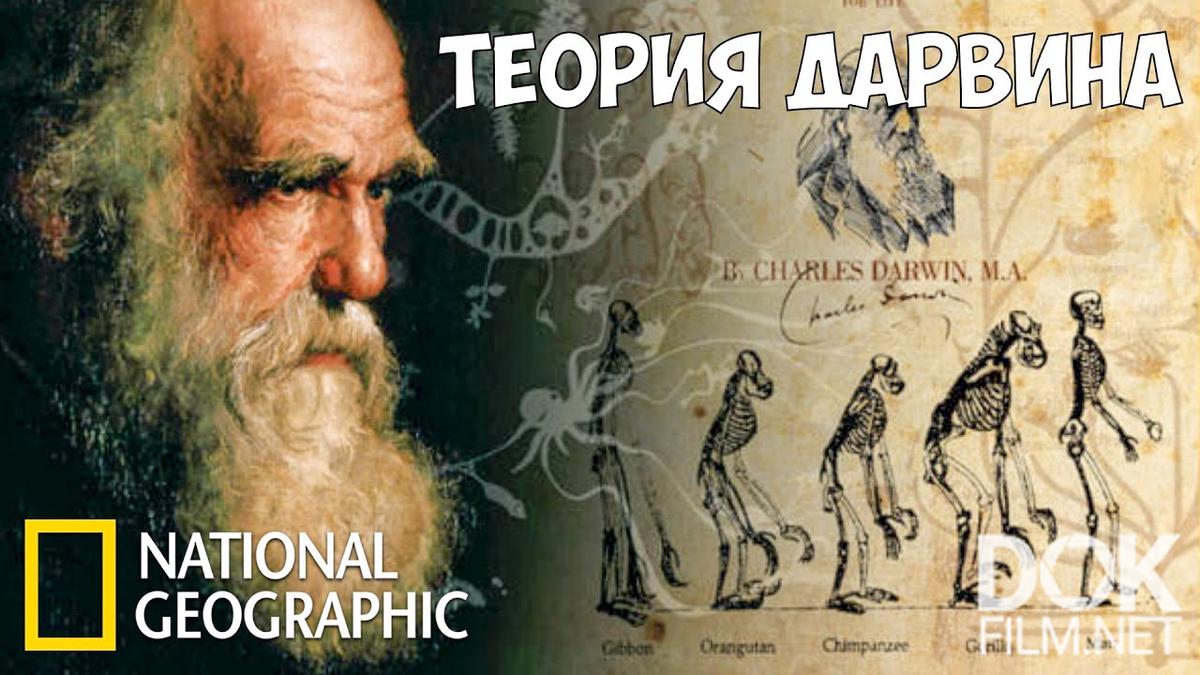 С точки зрения науки. Был ли Дарвин прав? (Ошибся ли Дарвин?)