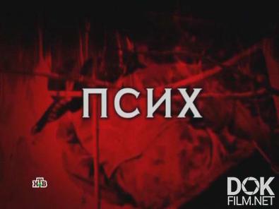 Следствие вели... Псих (2012)