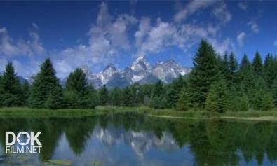 Живые Пейзажи - Скалистые Горы / Living Landscapes: Rocky Mountains (2008)