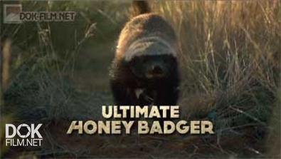 Жизнь Одного Медоеда / Ultimate Honey Badger (2013)