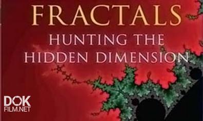 Фракталы. Поиски Новых Размерностей / Fractals. Hunting The Hidden Dimension (2008)