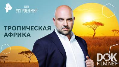 Как устроен мир с Тимофеем Баженовым. Тропическая Африка (21.10.2024)