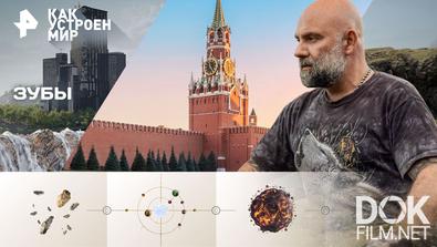Как устроен мир с Тимофеем Баженовым. Зубы (14.11.2025)