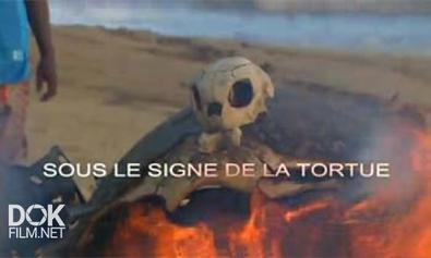 Под Знаком Черепахи / Sous Le Signe De La Tortue (2011)