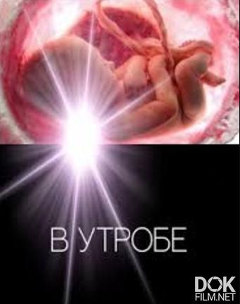 В утробе/ In Utero (2015)