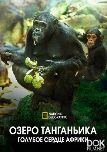 Озеро Танганьика. Голубое сердце Африки/ Lake Tanganyika: Africa's Blue Heart (2022)