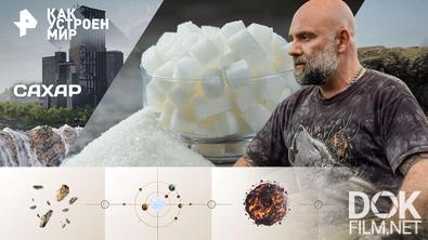 Как устроен мир с Тимофеем Баженовым. Сахар (09.12.2025)