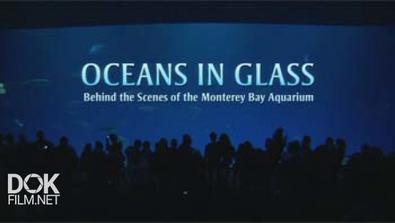 Океаны В Стекле / Oceans In Glass (2006)