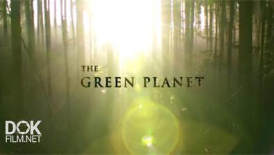 Зеленая Планета / The Green Planet (2012)