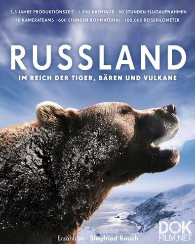 Россия - царство тигров, медведей и вулканов/ Russland - Im Reich der Tiger, Bären und Vulkane (2011)