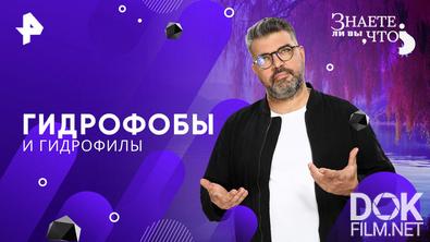 Знаете ли вы, что? Гидрофобы и гидрофилы (2026)