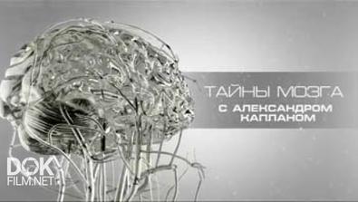 Тайны Мозга С Александром Капланом (2014-2015)