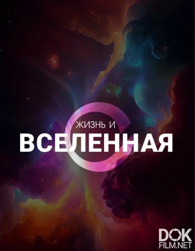 Жизнь и вселенная/ Life & The Universe (2025)