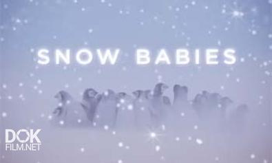 Дети Снегов / Snow Babies (2012)