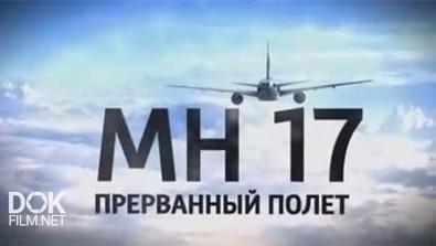 Mh-17. Прерванный Полет (2014)