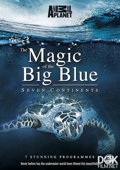 Чудеса голубой планеты. Семь континентов / The Magic of the Big Blue. Seven Continents (2011)