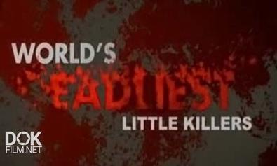 Первая Тройка Самых Опасных Животных: Маленькие Убийцы / World\'S Deadlist: Little Killers (2013)