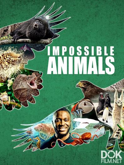 Невозможные животные/ Impossible Animals (2021)