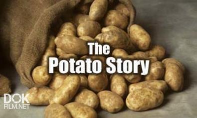 История Картофеля / The Potato Story (2008)