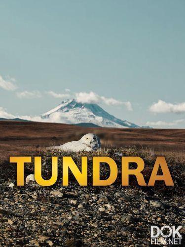 Тундра/ Tundra (2021)
