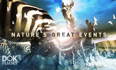 Величайшие явления природы/ BBC: Nature's Great Events (2009)