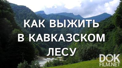 Какого лешего! По закону гор. Тайны лесов Кавказа (2024)