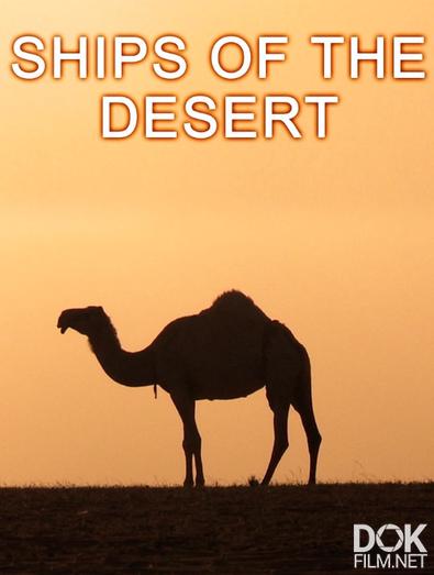 Корабли пустыни/ Ships of the desert (2012)