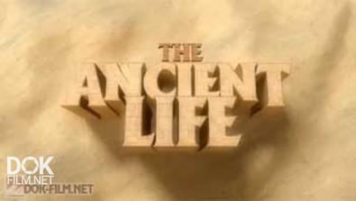 Тайны Древних Цивилизаций / The Ancient Life (2011)