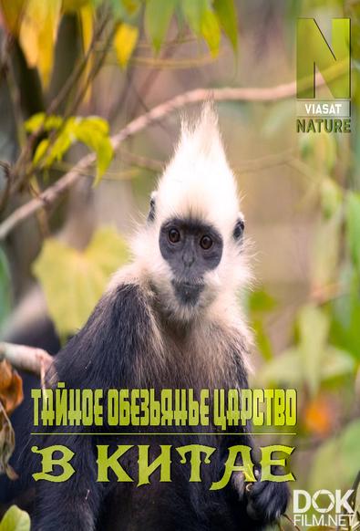 Тайное обезьянье царство в Китае/ China's Secret Monkey Kingdom (2020)