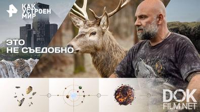 Как устроен мир с Тимофеем Баженовым. Это не съедобно (05.11.2025)