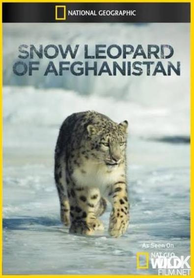 Снежный барс Афганистана/ Snow Leopard of Afghanistan (2012)