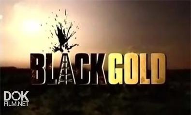 Черное Золото / Black Gold / Сезон 1 (2010)